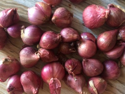 Công ty cung cấp hành tím tại Thành Phố Hồ Chí Minh