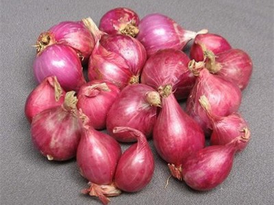 Cơ sở cung cấp hành tím Lý Sơn Quảng Ngãi chính hiệu giá tốt