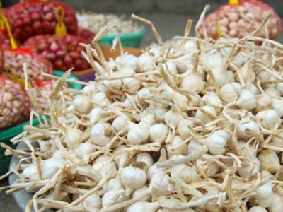 Mua đặc sản Lý Sơn Quảng Ngãi làm quà biếu tại Thành phố Hồ Chí Minh