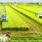 Công ty quảng cáo nghành nghề nông lâm ngư nghiệp lên top google uy tín