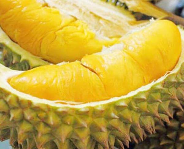 Cung cấp sầu riêng Ri6 Cái Bè Tiền Giang tại TP. Hồ Chí Minh