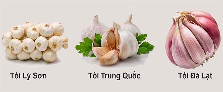 Địa điểm bán tỏi Lý Sơn chính hiệu tại Tphcm uy tín giá tốt nhất
