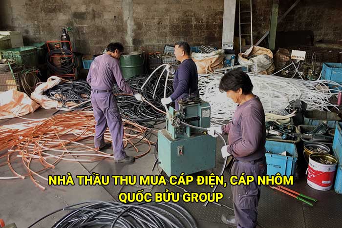 Nhà thầu thu mua cáp điện, cáp nhôm uy tín, giá cao