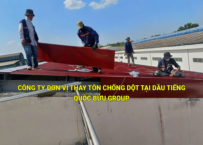 Công ty đơn vị thay tôn chống dột uy tín tại Dầu Tiếng