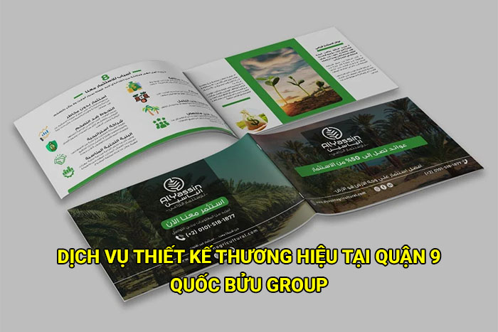 Dịch vụ thiết kế thương hiệu tại Quận 9 giá rẻ, chất lượng